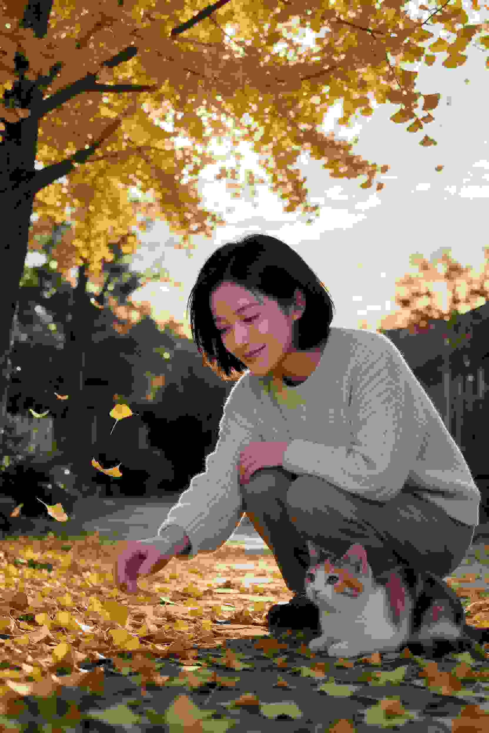 短剧